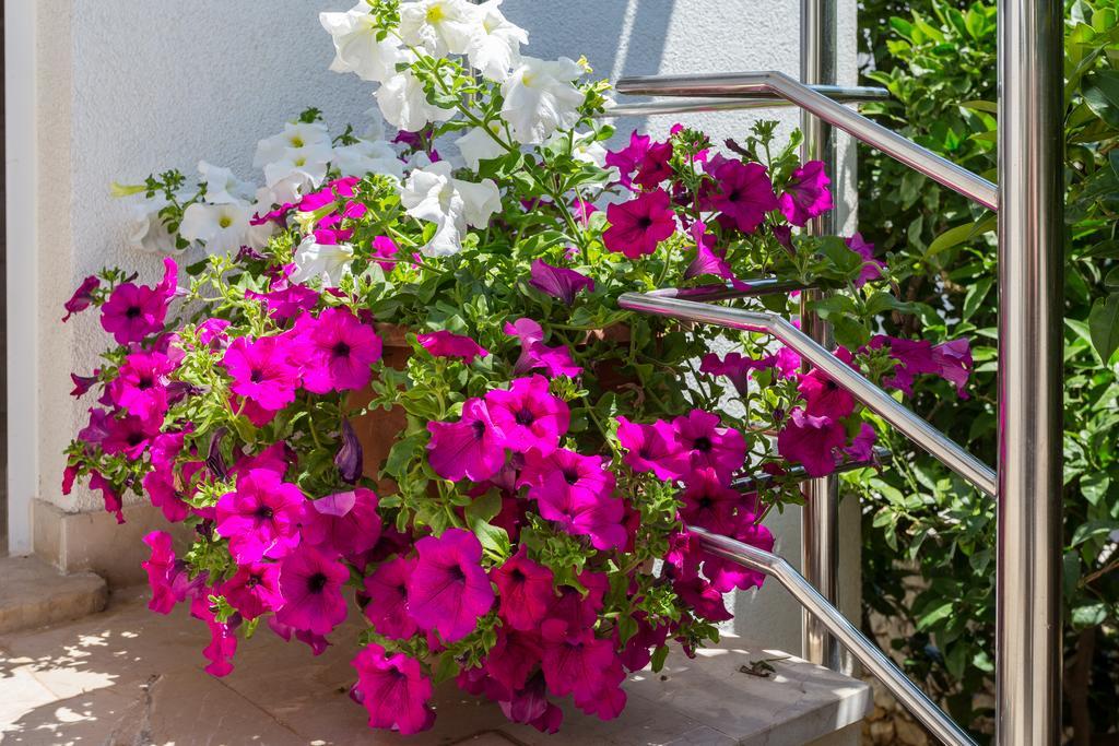 Apartments In Villa Top Trogir Zewnętrze zdjęcie
